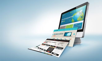 求职路上的得力助手 一站式网站设计与技术咨询平台