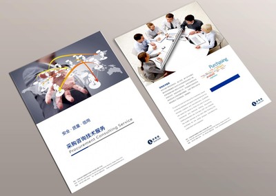 画册设计 艺术与技术的融合——从傻丫头笛笛的原创作品看现代画册设计及网站咨询